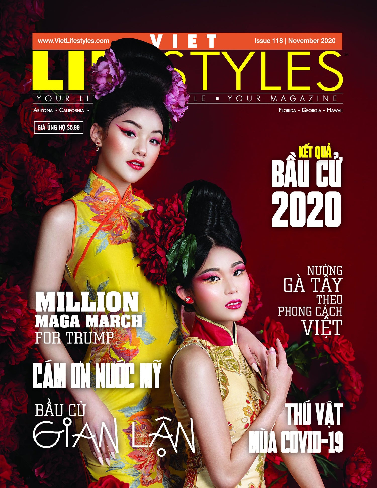 Viet Lifestyles Monthly Magazines