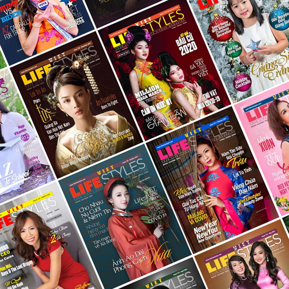 Viet Lifestyles Magazine Subscription - 12 issues